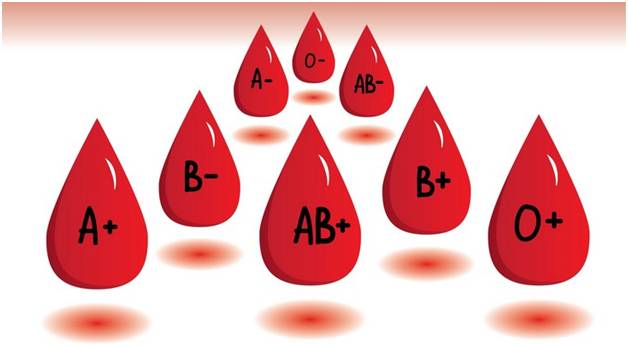 কোন গ্রুপে কে রক্ত দিতে পারবেন