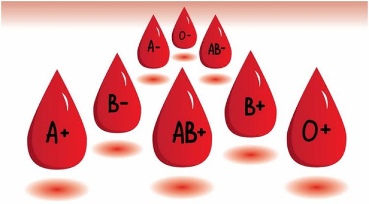 কোন গ্রুপে কে রক্ত দিতে পারবেন