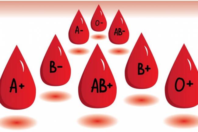 কোন গ্রুপে কে রক্ত দিতে পারবেন